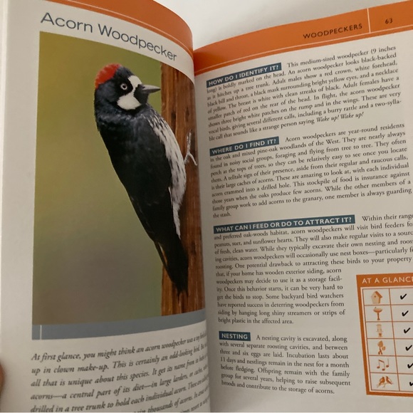 2 Western Birds Identification Books Peterson Field Guides Bird Watcher's Digest - Picture 4 of 11